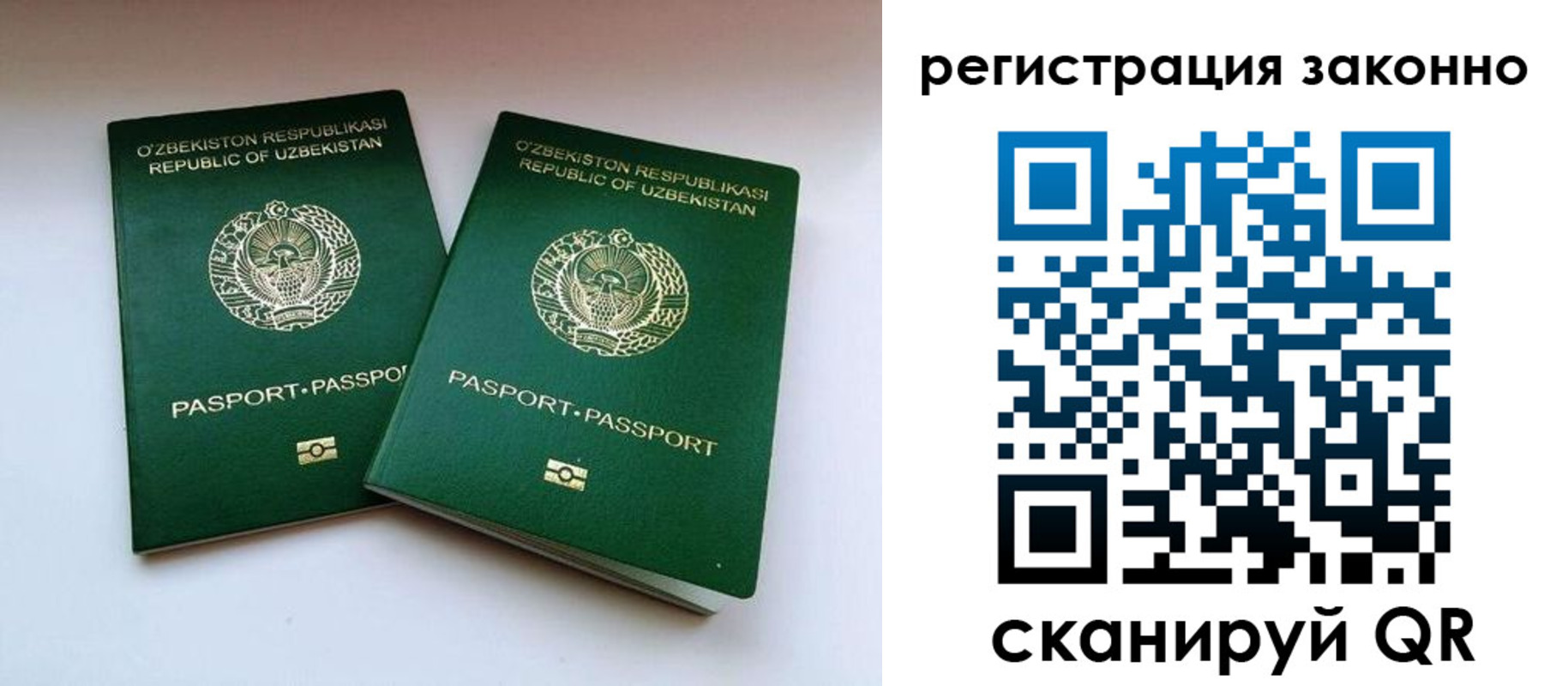 прописка гарантия в Звенигово